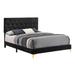 Lif Platform Queen Size Bed, Panel Tufted Headboard, Gold, Black Velvet