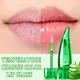 Temperature Color Changing Aloe Lip Gloss Lasting Waterproof Moisturizer Lip Balm Liquid Lipstick