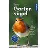 BASIC Gartenvögel - Volker Dierschke