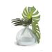 Bay Isle Home™ Akkaya Monstera Leaf Vase by House Fenway Canvas in Green/White | 18 H x 12 W x 1.25 D in | Wayfair E8E8DA903680452BBCCD55EF0A16631B