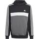 ADIDAS Kinder Kapuzensweat Tiberio 3-Streifen Colorblock Kids, Größe 128 in Grau