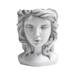 Goddess Head Planter Face Planters Pot Multipurpose Creative Resin Head Planter gray