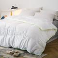 Alwyn Home 700 Fill Power Winter Comforter Down/Down & Feather Blend in White | 90 H x 104 W x 2 D in | Wayfair BCFF0D803CB147988BF814F074B4B5DE