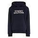 Tommy Hilfiger Boys Logo Hoodie - Desert Sky, Navy, Size 10 Years