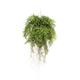 artplants.de Artificial hanging basket with Boston fern NILO, soil ball, roots, 30"/75cm, Ø22"/55cm - Artificial trailing plant