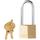 Master Lock 140DLH 1-1/4 in. H X 5/16 in. W X 1-9/16 in. L Brass 4-Pin Tumbler Padlock