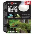 Repti Planet Daylight Frosted Bulb - 75w