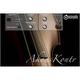 acousticsamples AkousKontr Upright Bass Virtual Instrument Software (Download) AKOUSKONTR