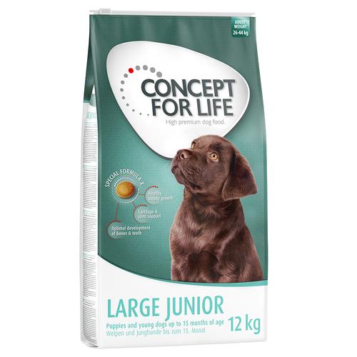 2x12 kg Large Junior Concept for Life Hundefutter trocken