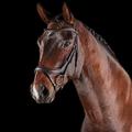 Collegiate ComFiTec Vogue Anatomical Bridle, Brown, Warmblood