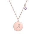 TwoAnts Initials Necklace 925 Sterling Silver Rose Gold A initial Pendant Necklace Amethyst Necklaces Initial Jewellry Gift for Women