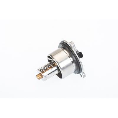 Borgwarner (wahler) Thermostat, Kühlmittel [Hersteller-Nr. 411076.104D] für Porsche Image