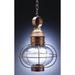 Northeast Lantern Onion 17 Inch Tall 1 Light Outdoor Hanging Lantern - 2542-VG-MED-CLR