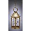 Northeast Lantern Heal 14 Inch Tall Outdoor Hanging Lantern - 3312-VG-MED-CLR