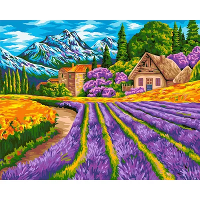 Malen nach Zahlen auf Leinwand Lavendelfeld, 40 x 50 cm
