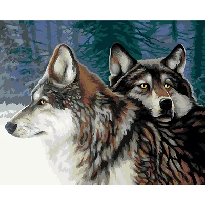 Malen nach Zahlen auf Leinwand Winterwölfe, 40 x 50 cm Image