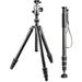 Gitzo GT2545T Series 2 Traveler Carbon Fiber Tripod with Center Ball Head & GM254 GK2545T-BH50Y2