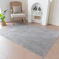 Evitany Large Grey Rugs for Living Room Rug Low Pile Floor Carpet Non-Slip Cool Rugs Soft Chenille Shaggy Rugs for Bedrooms Play Room Dining room,Grey,140x200 cm