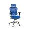 Bürostuhl / Chefsessel ERGOHUMAN EDITION Netzstoff blau hjh OFFICE