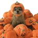 Halloween Pet Hat Pumpkin Pattern Dress-up Cats Dogs Pumpkin Dog Cosplay Funny Costume Dog Clothes Hats Party Supplies