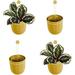 Loop Hanging Wall Planter Indoor Flowerpot Hanging Planter For Indoor And Outdoor Planting Mount On Wall Or Ceiling (Mustard 4 Pack)