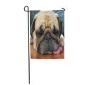 FMSHPON Beige Paws Face of Cute Pug Puppy Dog Sleeping on Laminate Floor Brown Funny Garden Flag Decorative Flag House Banner 28x40 inch