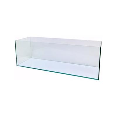 Lifegard Long Clear Glass Bookshelf Aquarium, 5-mm, 6-gal