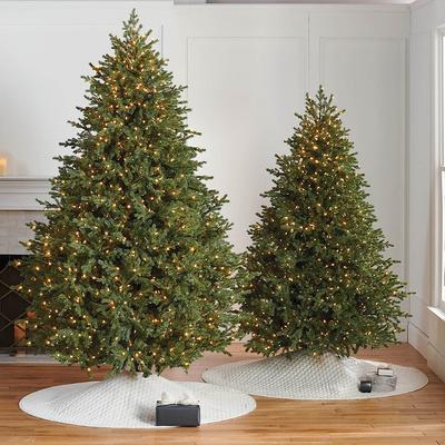 Westchester Fir Tree - 7-1/2' - Frontgate - Christmas Tree
