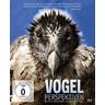 Vogelperspektiven Special Edition (Blu-ray Disc) - Filmperlen