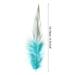 5-6 Inch Rooster Feathers, 100 Pack Bulk Natural Feathers Style 2 - 5-6 Inch