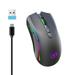 Back to School Savings! Feltree 2.4GHz Wireless Mouse Gaming Mouse RGB Backlight Wireless Optical USB Gaming Mouse 4800DPI Rechargeable Mute Mice