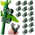 Orchid Stem Clip Plant Support Dark Green Plant Clips Vine Stem Flower Grow Upright Branch Clamp