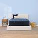 Serta Perfect Sleeper Radiant Rest 14" Hybrid Firm Mattress Set