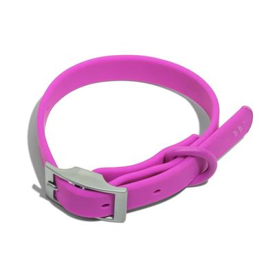 Wild One Dog Collar, Orchid, Small