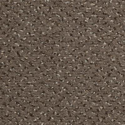 Teppichboden VORWERK "Passion 1006 (Riva), Velours - gemustert, Made in Germany", braun, B:500cm H:6,7mm L:450cm, Polyamid, Teppiche, Wohnzimmer, Schlafzimmer, Kinderzimmer, Breite 400/500 cm