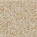 VORWERK Teppichboden "Schlingenteppich Passion 1005 (Luco)" Teppiche Gr. B/L: 500 cm x 850 cm, 6 mm, 1 St., weiß (weiß hellbeige) Teppichboden