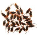 100Pcs Fake Roaches Halloween Props Artificial Creative Simulation Realistic Decorations Funny Funny Trick Joke Toys Roach for Holiday Party
