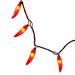 35-Count Red Chili Pepper Patio String Light Set 22.5ft Brown Wire
