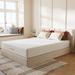 Twin 12" Foam Mattress - Home 12 | 39 H x 75 W D in Wayfair WFS-15CHM09-12-T