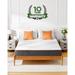 Queen 10" Foam Mattress - Alwyn Home Mylo 10 | 79 H x 59 W D in Wayfair D1E559AC926042E09EA7A68F3CA89DFA