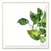 Four Hands Art Studio 'Pothos I by Jess Engle - Picture Frame Graphic Art Print on Paper in Black | 60 H x 60 W x 2.5 D in | Wayfair