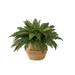 23" Artificial Boston Fern Plant with Handmade Jute & Cotton Basket DIY KIT