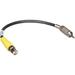 Delvcam 3.5mm Male to BNC Female Adapter Cable (12") DELV-BFMP