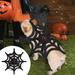 Pnellth Halloween Spiderwebs Pet Costume Adjustable Fastener Tape Dogs Cats Costume