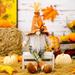 Fall Decor Gnomes Plush Fall Decorations for Home Thanksgiving Decorations for Farmhouse Autumn Pumpkin Decor Harvest Holiday Party Gnomes Ornaments Fall Tiered Tray Decor