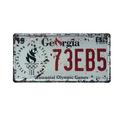 Georgia License Plate Aluminum Novelty Car Decor License Plates 12 x6 Front of Car Decorative Retro Rusty License Plate for Men Women Car-10