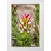 Lord Fred 11x14 White Modern Wood Framed Museum Art Print Titled - Africa South Africa Cape Town Protea flower
