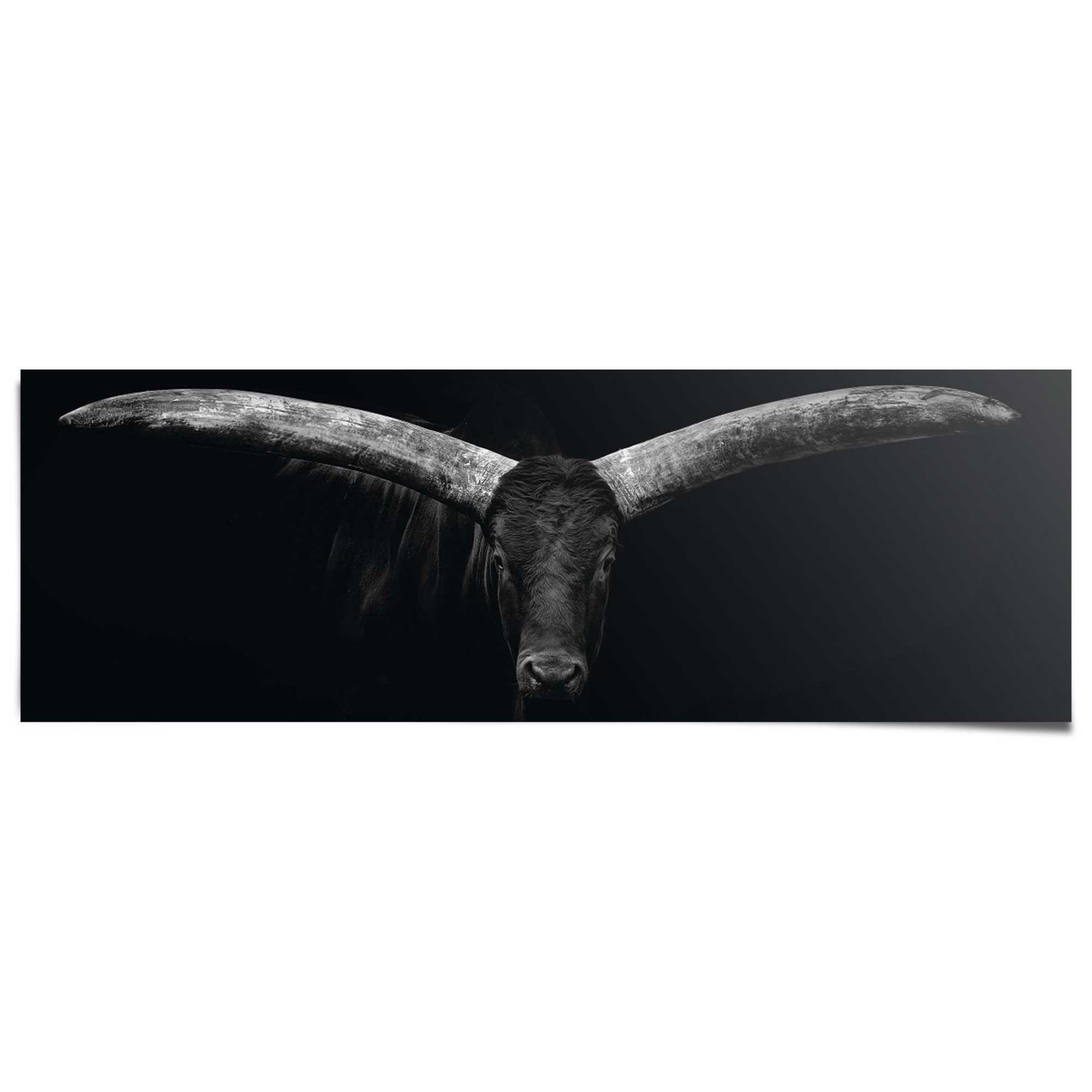 Poster REINDERS "Ochse", schwarz (farbe bild(er): schwarz), B:158cm H:53cm T:0,1cm, Papier, Bilder Image