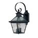 Darby Home Co Ernestine 3 - Bulb 21" H Hammered Glass Outdoor Wall Lantern Aluminum/Glass/Metal in Black | 21 H x 9.75 W x 11.5 D in | Wayfair