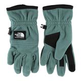 The North Face Etip Heavyweight Fleece Glove Green M Polyester,Elastine